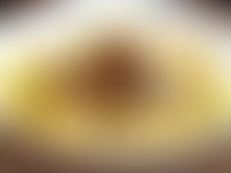 Slow Cooked Pork With Sun Dried Tomatoes, Tossed With Tricolor Fusilli Pasta