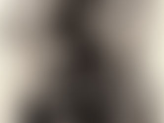 STAGES ENCRE & PAPIER                       27/28 juin et 5/6 septembre 2026