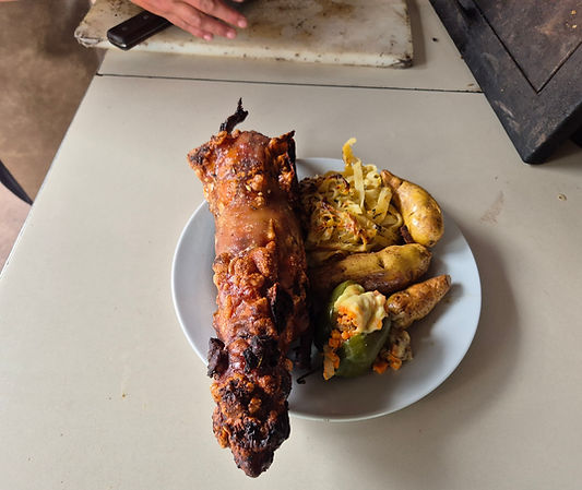 Cuy from tipon Peru