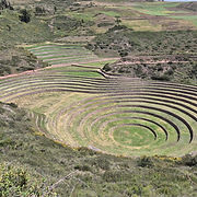 20250419_110559.jpg