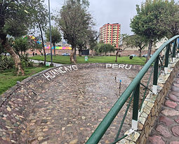 20260114_072023.jpg