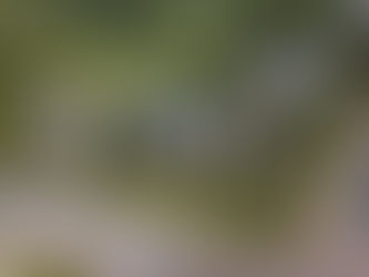 What are Mineral Rights?