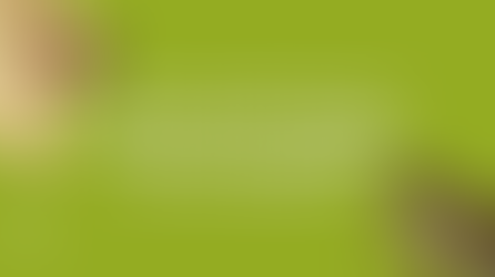 ¿Por qué entre más ruido en las ciudades, más mosquitos?