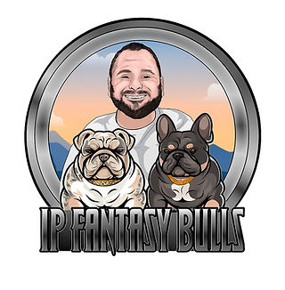 IP Fantasy Bulls