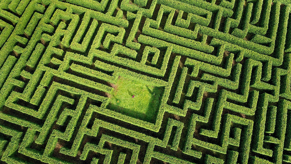 506997-aerial_view-labyrinth-maze.jpg