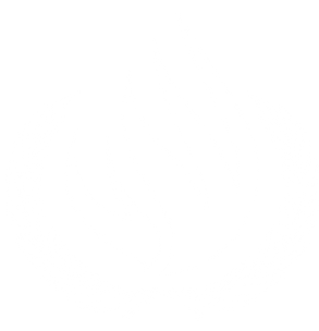 442020502_458966786675435_865584228987818389_n.png