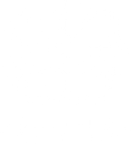415266750_332297306315303_1324167239739198107_n.png