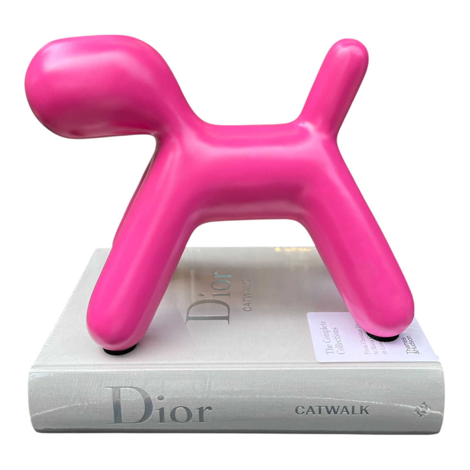 Fuşya Pop Art Puppy Obje M