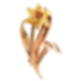 Welsh Gold Daffodil Brooch