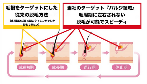 オリジナルの脱毛方法
