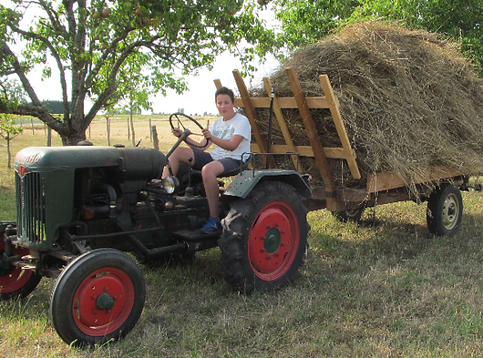 Foin Marcel D Aout 2015 (2)_edited.JPG