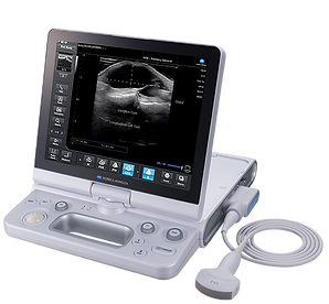 Sonimage HS2