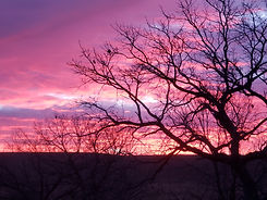 20231212_072447.jpg