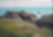 arch27.lande bretonne copy.jpg