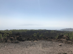 IMG_6143.jpeg