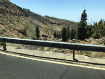 IMG_6110.jpeg