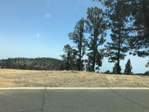 IMG_6107.jpeg