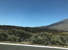 IMG_6115.jpeg