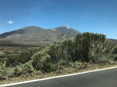 IMG_6116.jpeg