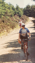 Whinlatter Forest