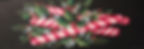 Peppermint Stix Packet