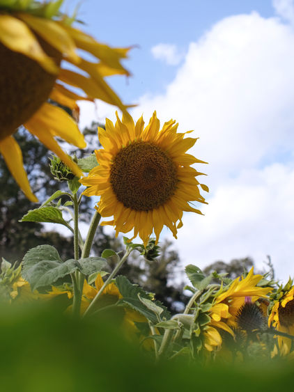 How to plan your seasonal content