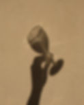 DSCF1555.jpg