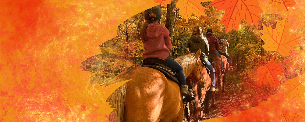R&R FB Banner (1640 × 800 px).png