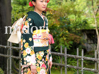 みいさん