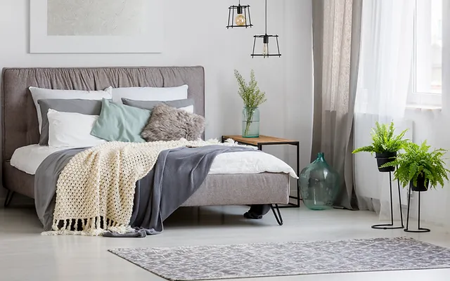 Mattresses Interior Sit Sleep