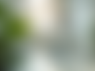 Understanding Holistic Dentistry: A Comprehensive Overview