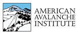 AAI-Logo-Horizontal-white-background.jpg