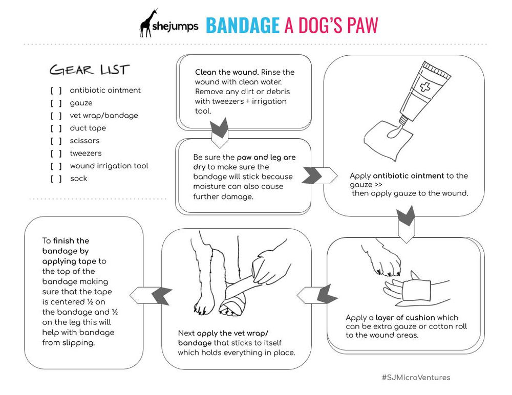 Micro Ventures Bandage a Dog's Paw
