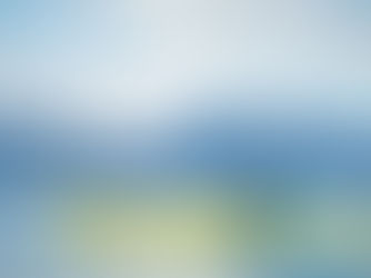 Meet SheJumps Board Members: Q&A with Wendi Siebold