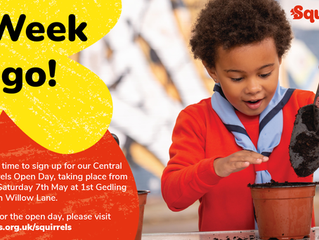 Squirrels are coming!