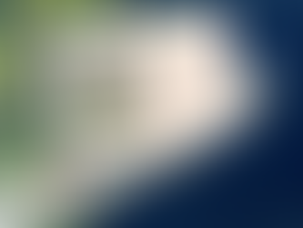 Il Ponte Tibetano della Valpolicella: un’esperienza sospesa tra cielo e vigneti