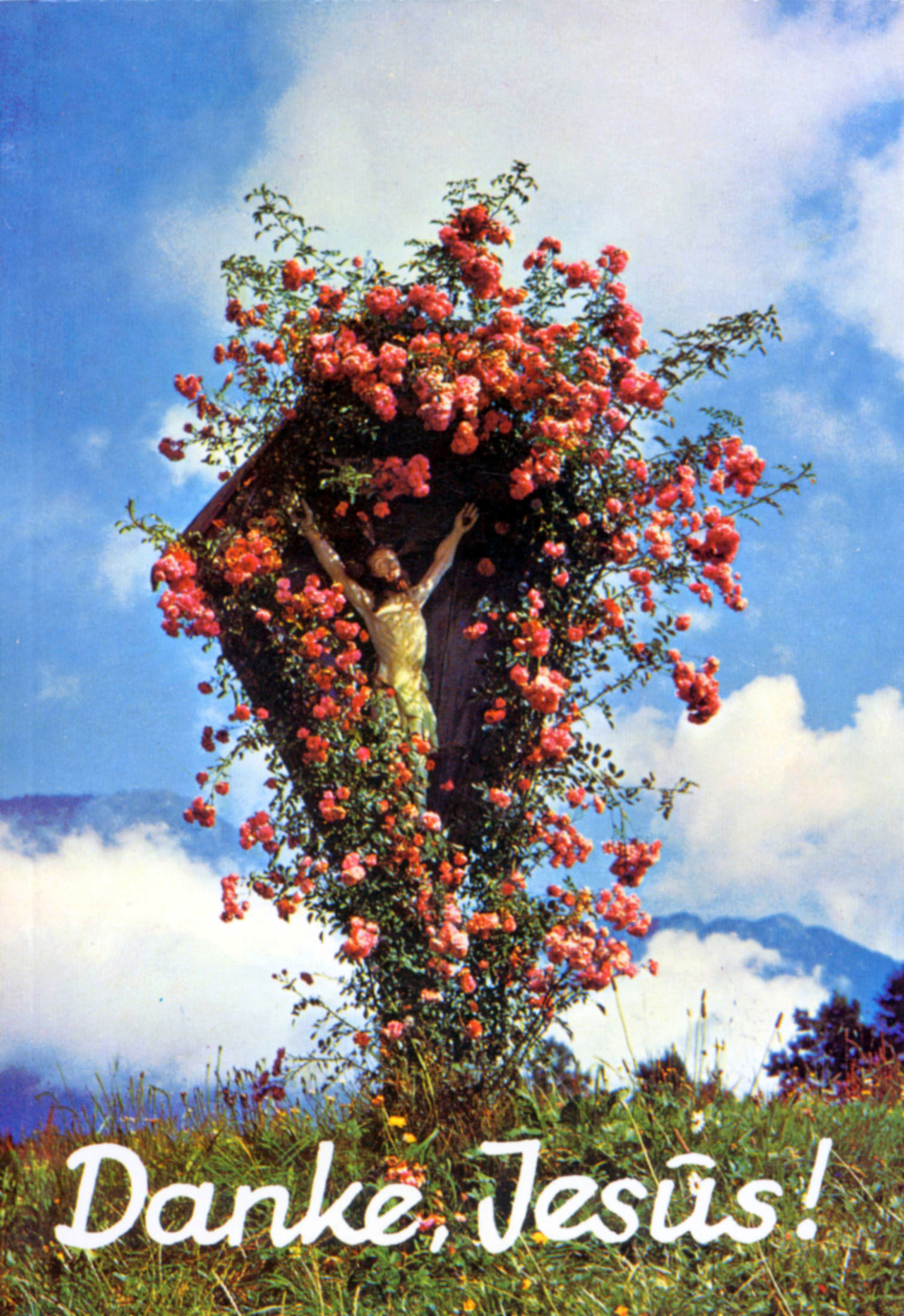 Danke, Jesus!