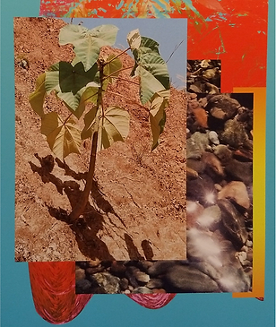  IVÁN BLASSER, (Panamá),ST,  15%22 x 1