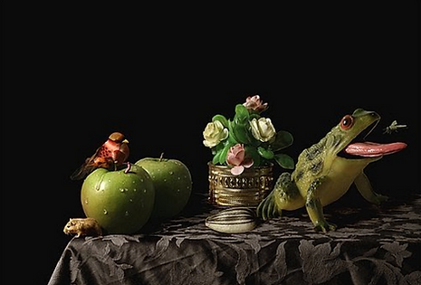 MARGARITA DITTBORN, (Chile), Still life 