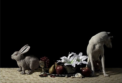 MARGARITA DITTBORN, (Chile), Still life 