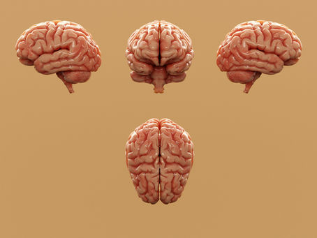 Epilepsi ve Depresyon