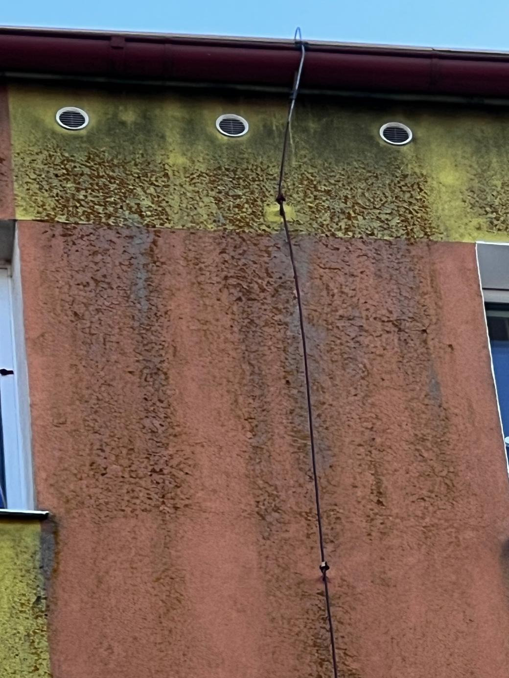 Řasy na fasádě