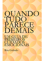 Capa - E-BOOK Quando Tudo Parece Demais.png