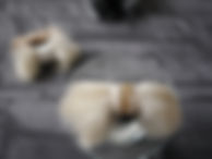 fullsizeoutput_4d7.jpeg