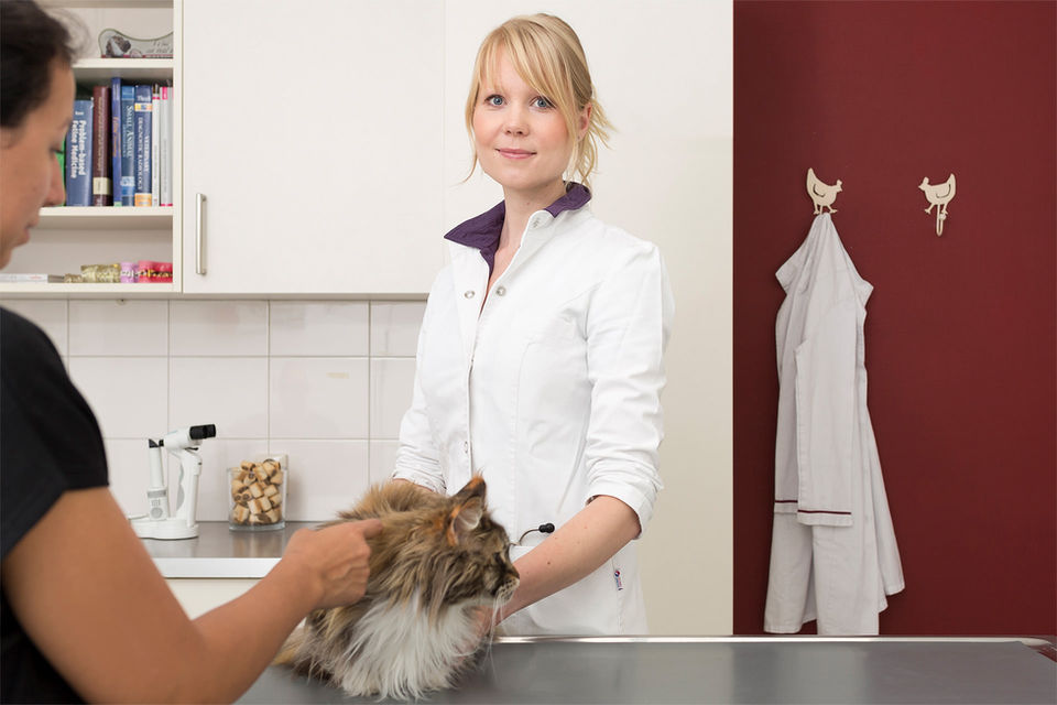 Alex Cohen fotografie, fotograaf, Haarlem