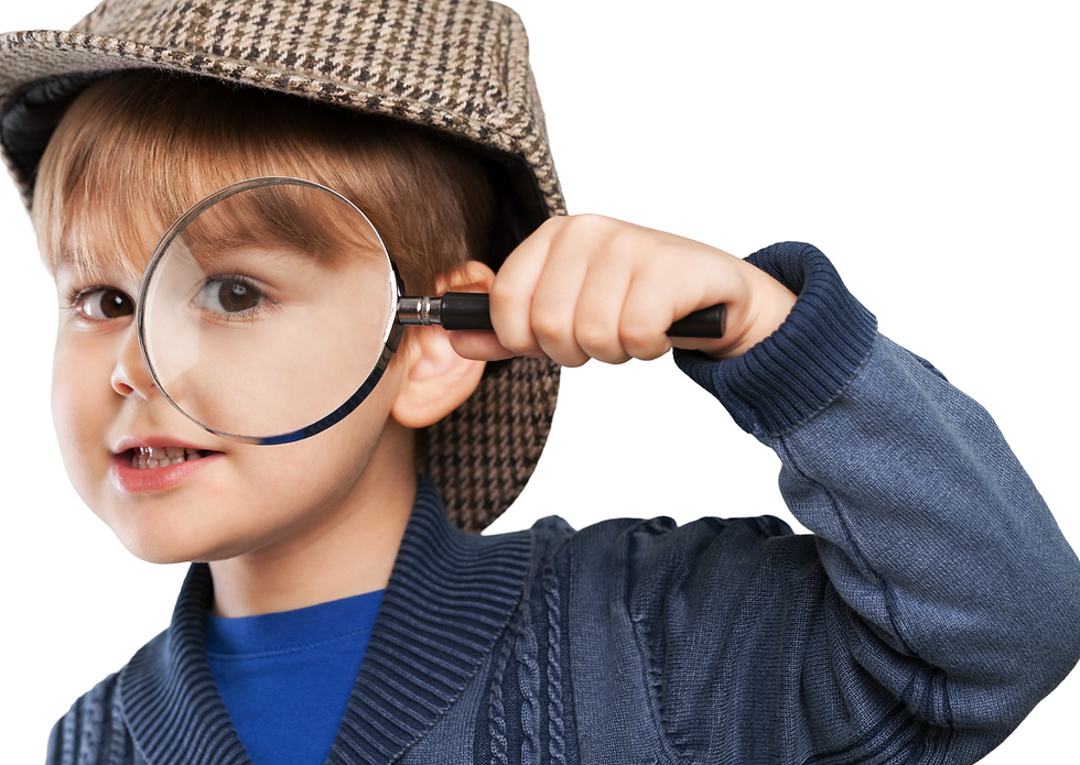 MISTERY TRAILBLAZERS