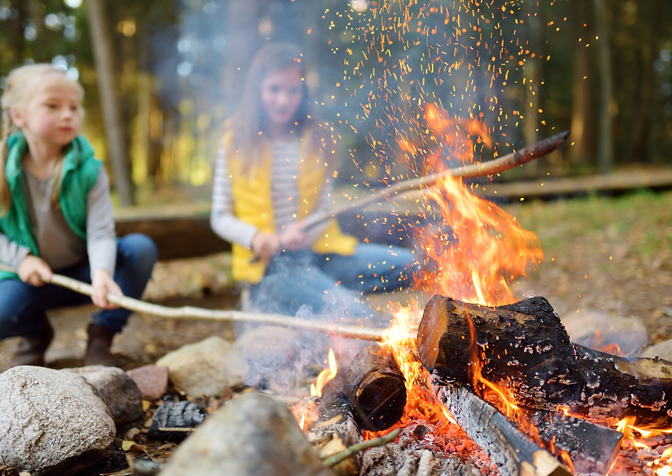 Autum harvest firewood camping hiking mountains