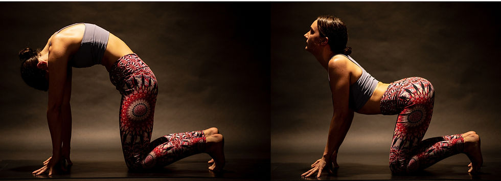 Person in patterned leggings and a gray tank top demonstrating Cat-Cow yoga poses on a dark background.