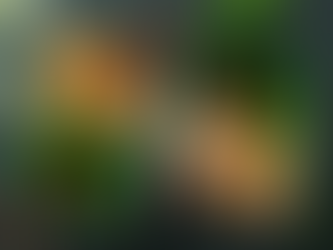 How to Avoid Processed Foods for Better Overall Health