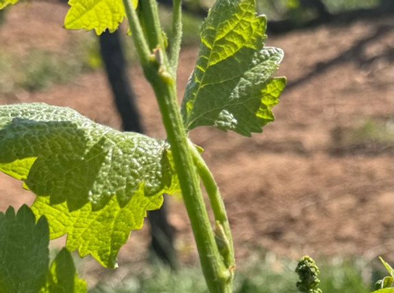 EEC1DC92-2AFF-4042-9816-B1E738BAACF0_1_1